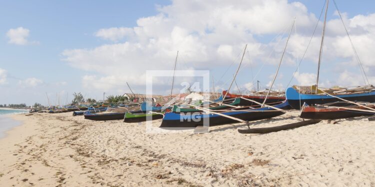 ACCORD – Le contenu du programme d’appui sectoriel pluriannuel de la pêche de Madagascar discuté par la Commission mixte Madagascar-Union Européenne