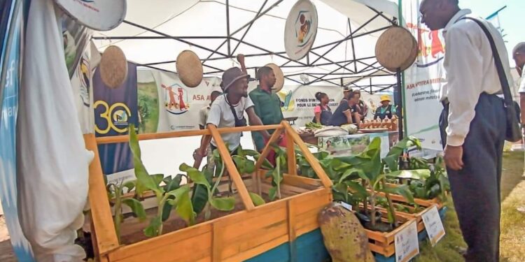 ÉVÉNEMENT – Les richesses de l’Atsimo Atsinanana mises en valeur durant trois jours lors de la huitième édition des Journée internationale des régions.