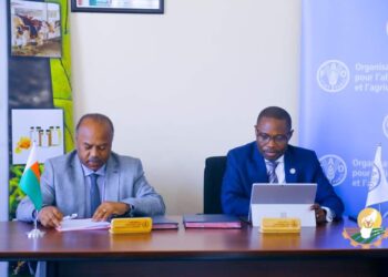 SECTEUR AGRICOLE – La surveillance phytosanitaire végétale et forestière renforcée à travers une alliance entre le ministère de l’Agriculture et la FAO