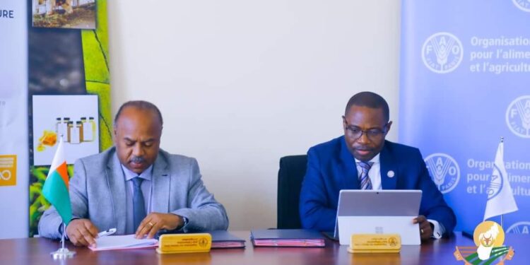 SECTEUR AGRICOLE – La surveillance phytosanitaire végétale et forestière renforcée à travers une alliance entre le ministère de l’Agriculture et la FAO