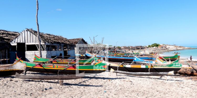 SECURITE ALIMENTAIRE – Rendre les gens autonomes de manière permanente reste un grand défi dans le Sud de Madagascar, selon la Banque mondiale