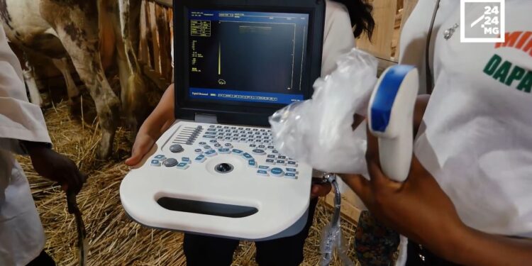 TECH – Quand les appareils d’échographie animale débarquent à Madagascar