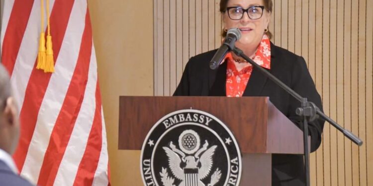 ELECTION – La mission américaine à Madagascar invite le gouvernement collégial à respecter la liberté d&rsquo;expression et de réunion pacifique, ainsi que l&rsquo;égalité d&rsquo;accès aux médias et aux lieux de campagne