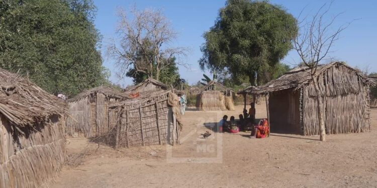 CONDITION DE VIE – L’Androy atteint un taux de pauvreté de 95%