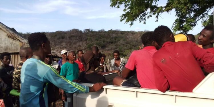 Antsiranana – Deux morts intoxiqués par de la viande de tortue de mer