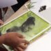 MOIS DE LA PHOTO – Le festival Sar&rsquo;nao pour découvrir la photographie à la chlorophylle
