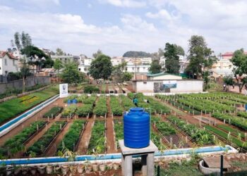 REBOISEMENT – 78.000 ha de terrain reboisé en 2022-2023 selon le ministère de l’Environnement