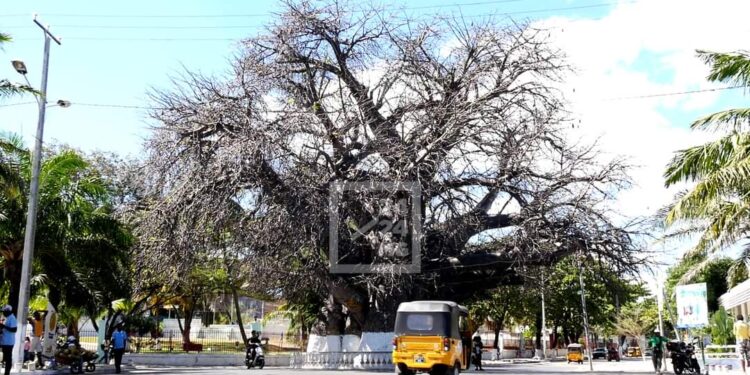 ENSEIGNEMENT SUPÉRIEUR – La rentrée universitaire fixée au 8 janvier pour l&rsquo;Université de Mahajanga