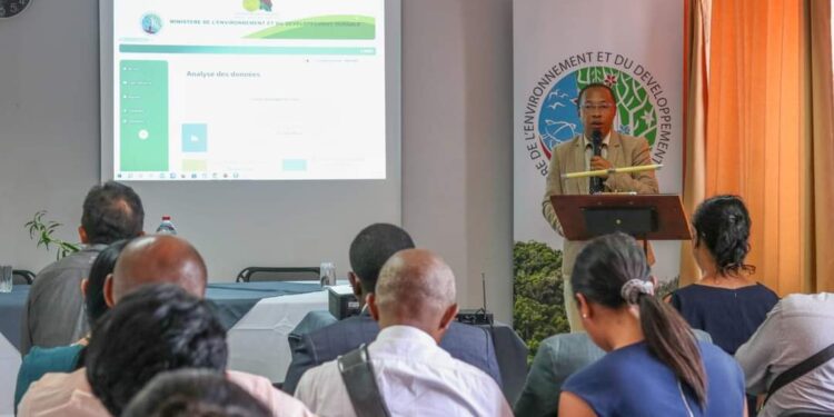 Un nouvel outil pour la gestion des statistiques sur le reboisement dans tout Madagascar mis en place