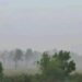 MOROMBE – Des élèves contraints de suivre leurs cours sous les arbres en plein air