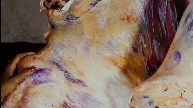 HYGIENE ALIMENTAIRE – La diète hydrique peu respectée par les abattoirs locaux