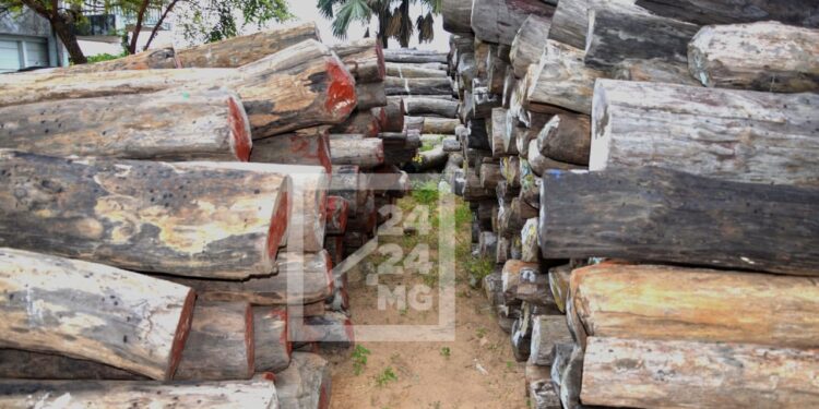 Le gouvernement dit négocier avec la Tanzanie pour le rapatriement des bois de rose saisis au Kenya en 2014