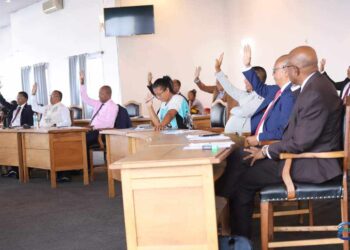 CODE PÉNAL – Le Sénat approuve la légalisation de la castration pour les auteurs de viol