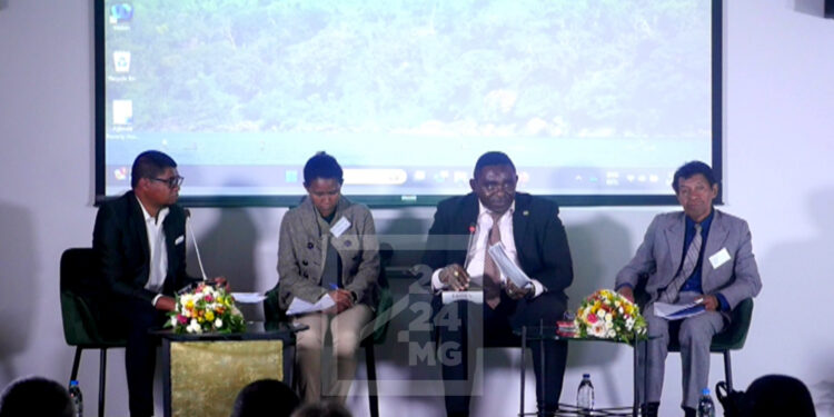 RAPPORT – Réduction des inégalités sociales due à la hausse de la pauvreté urbaine