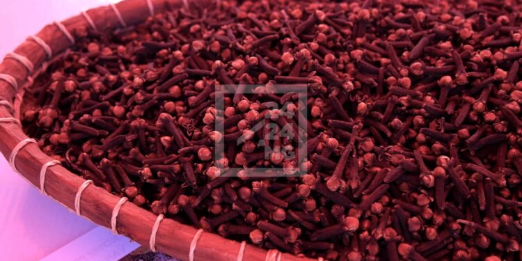 COMMERCE EXTÉRIEUR – Baisse des recettes d’exportation des principaux produits phares