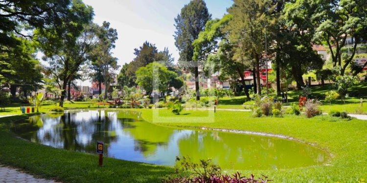 ENVIRONNEMENT – Un arboretum et un parc botanique, un projet présidentiel à Ambatobe