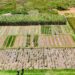 AGRICULTURE – Près de 2 700 ménages précaires formés à la technique de production de subsistance Pfumvudza