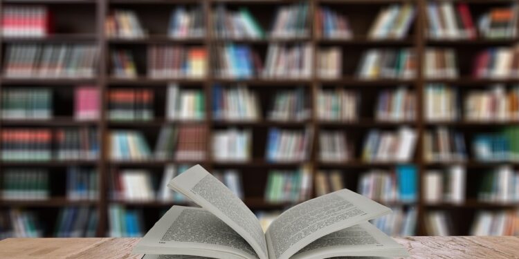 DON – Près de 1 500 ouvrages récoltés pour remplir des bibliothèques communautaires d’Antananarivo