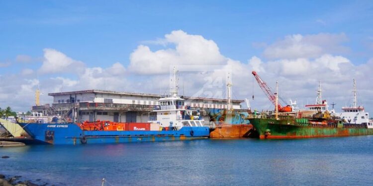 La Douane rapporte 3 087,4 milliards d’ariary d’importation durant les deux premiers mois de l’année 2024