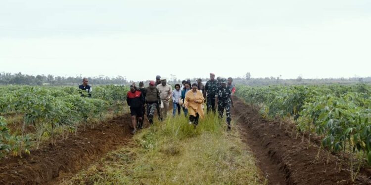 JUSTICE – Cinq nouveaux sites de production agricole rattachés aux prisons mis en place