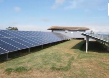 ENTREPRENEURIAT – Une centrale solaire pour le site agro-industriel de Phael Flor grâce à l’appui de Sunref