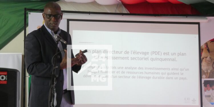 DÉVELOPPEMENT RURAL – Un plan directeur du secteur de l’élevage en cours d’élaboration