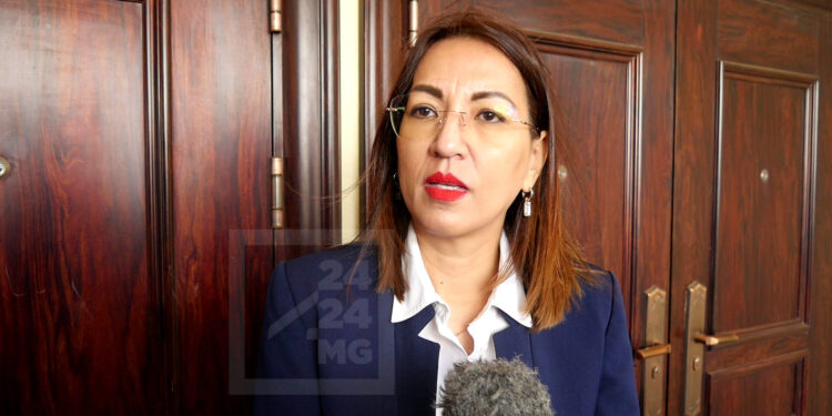 L’Omnis autorisé à exploiter les ressources minières stratégiques et à détenir des permis miniers