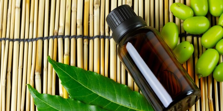 Des marques prestigieuses intéressées par les huiles essentielles de Madagascar