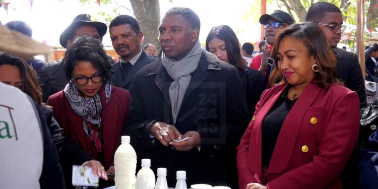 FILIÈRE LAIT – Des défis à relever pour porter le fromage malgache sur le marché international