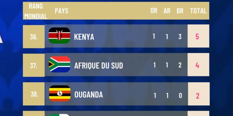 JEUX OLYMPIQUES – L&rsquo;Afrique compte 20 médailles à l&rsquo;issue de la 12ème journée