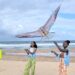 TOURISME – Le « beach kite » pour faire de Foulpointe une destination phare pour les amoureux de cerf-volant