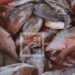 CONSOMMATION – 307 000 tonnes de besoin annuel en poissons