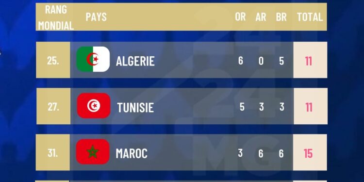 PARIS 2024 – 64 médailles dont 23 en or pour l’Afrique aux Jeux Paralympiques