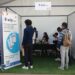 SOLUTION – Wip Work, l’application qui veut mettre en lien les entreprises et les personnes en quête d’emploi
