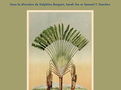 OUVRAGE – « De Madagascar aux mondes de l&rsquo;océan Indien », ou comment replacer la Grande Île au coeur de l&rsquo;indianocéanie
