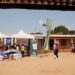 CANTINE SCOLAIRE – Agrivet en partenariat avec le Lions Club Ambohibao Laka dans le projet “Un club, une école, un potager”