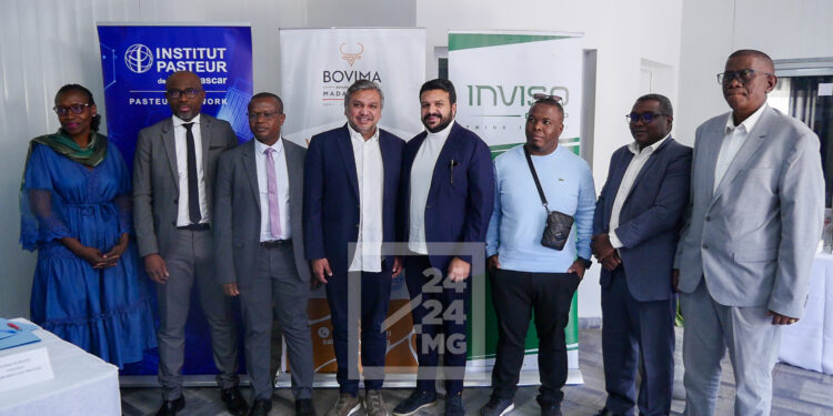 AGRIBUSINESS – Une convention de partenariat avec Mayotte pour structurer et améliorer la filière viande à Madagascar
