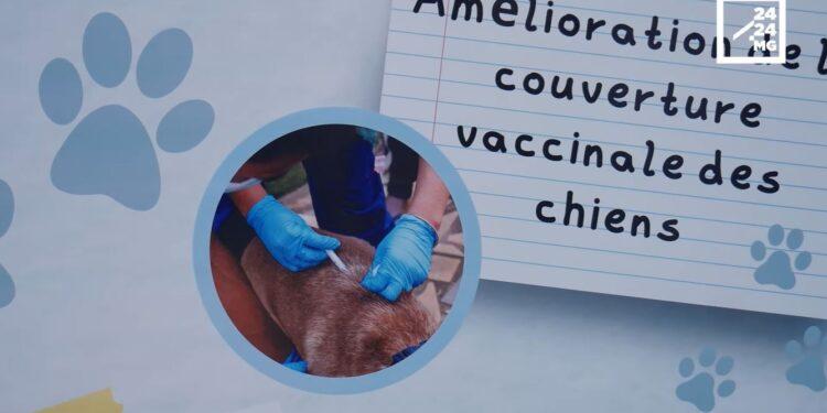 SANTE – Que faire en cas de morsure, de griffures ou de contact avec la salive d’un mammifère?
