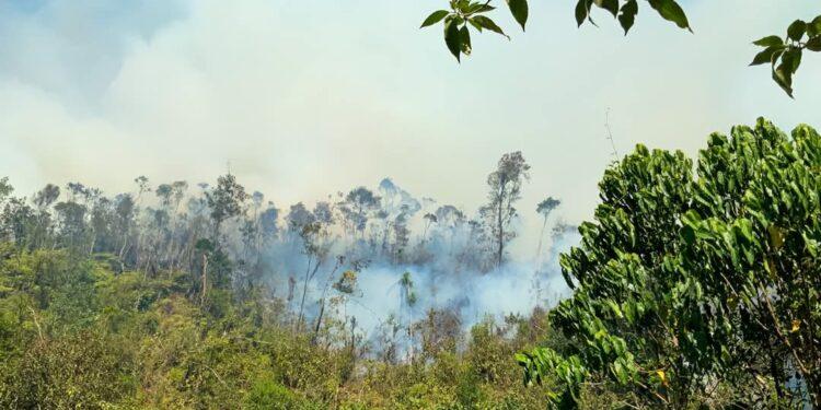 ENVIRONNEMENT – Les points de feux de retour dans la partie Est de Madagascar
