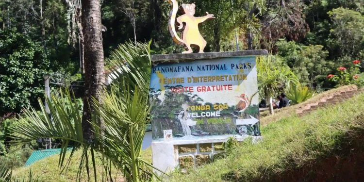 FEUX DE FORÊT – 122 ha de superficie consumés au sein du parc national de Ranomafana