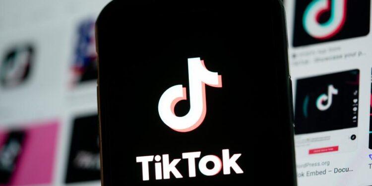 RESEAUX SOCIAUX – TikTok remis en service aux Etats-Unis