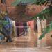 MÉTÉOROLOGIE – Deux perturbations cycloniques évoluent autour de Madagascar 