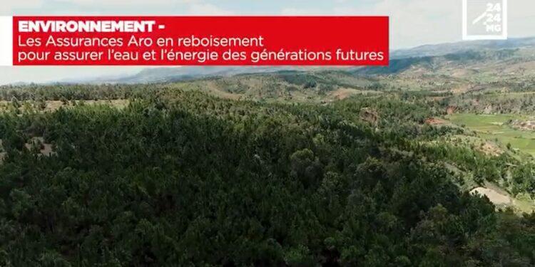 ENVIRONNEMENT – Les Assurances Aro en reboisement pour assurer l’eau et l’énergie des générations futures