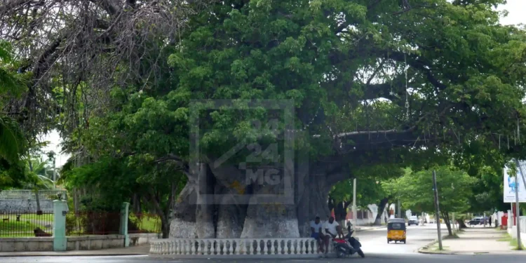 TOURISME – Un établissement touristique de Mahajanga sommé de cesser ses activités de restauration après des cas d’intoxication alimentaire