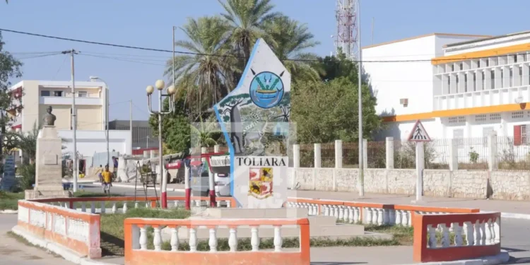 TOLIARA – Affrontements entre forces de l’ordre et manifestants à Ankilimalinike après une saisie de bovidés, des blessés signalés