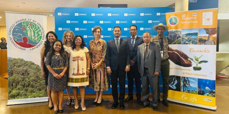 ENVIRONNEMENT – Les forêts humides de l’Est retirées de la liste du patrimoine mondial en péril