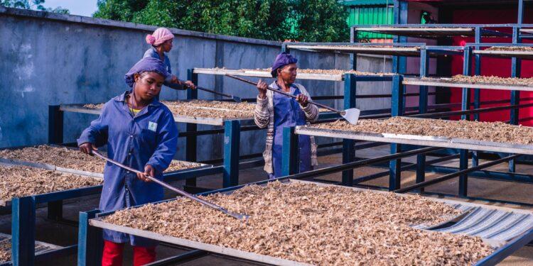 FINANCES – BNI MADAGASCAR lance la deuxième édition du programme « BNI Lovainjafy » à travers deux concours pour donner de l’élan aux projets impactant