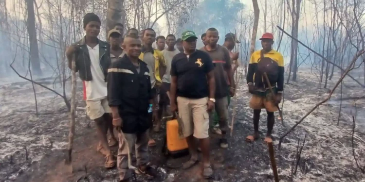 FEUX DE FORÊT – Le ministère de l’Environnement annonce une enquête sur l’origine et les responsables de l’incendie survenu ce week-end à Ankarafantsika