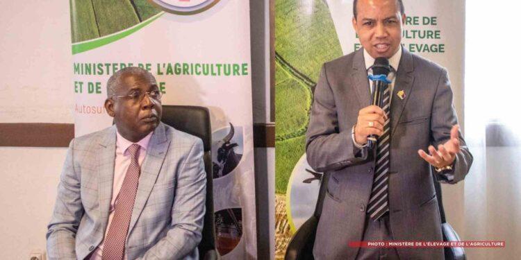 AGRICULTURE – La création de 150 000 hectares de nouveaux périmètres rizicoles avec la société Com’On Holding en projet