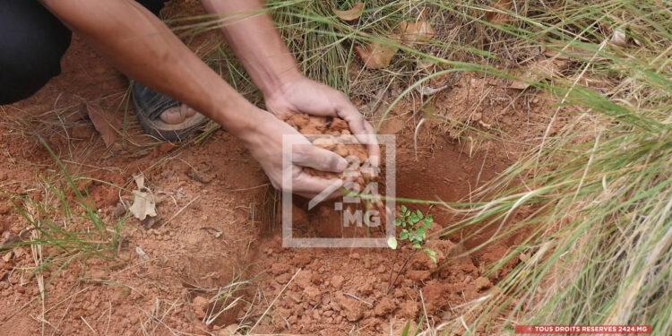 ENVIRONNEMENT – Des financements internationaux importants, un engagement national encore faible